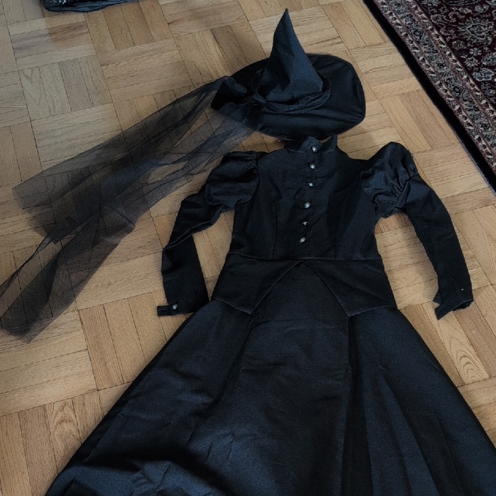 Black Wicked Witch Costume with Hat and Veil - Wizard Of Oz